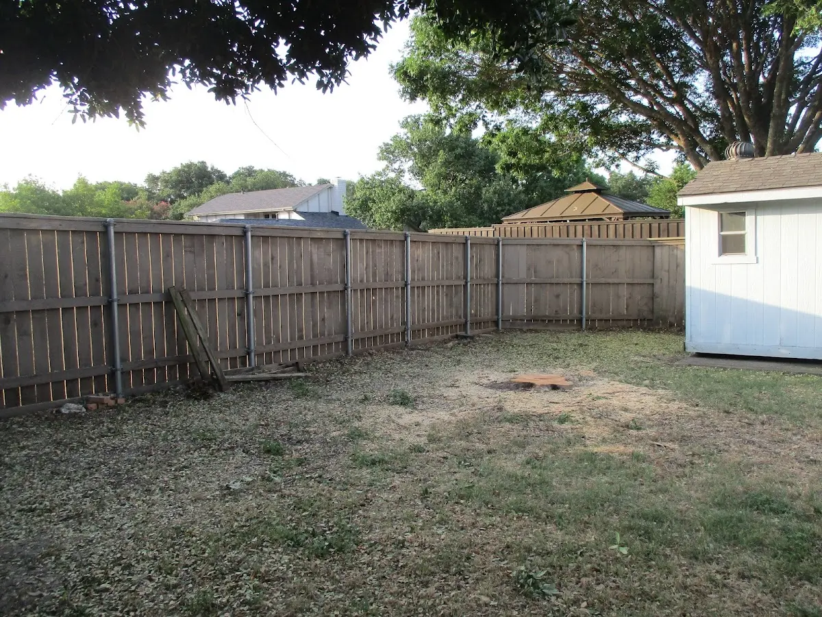 Cleared yard after professional tree removal in Annapolis
